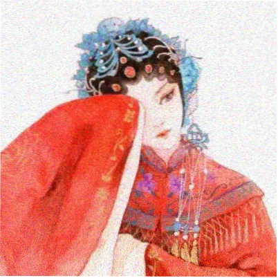 读者 夜行橡树 的头像